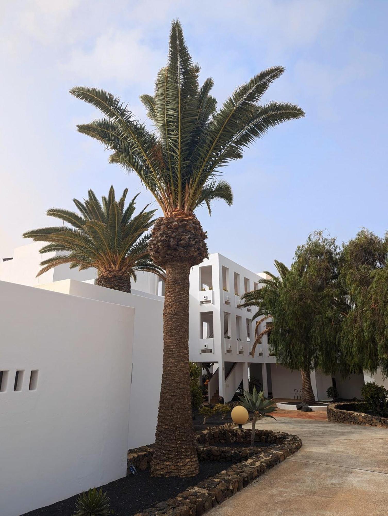 Charming Flat In Los Molinos With Terrace & Pools, Near Playa Bastian Costa Teguise Exterior foto